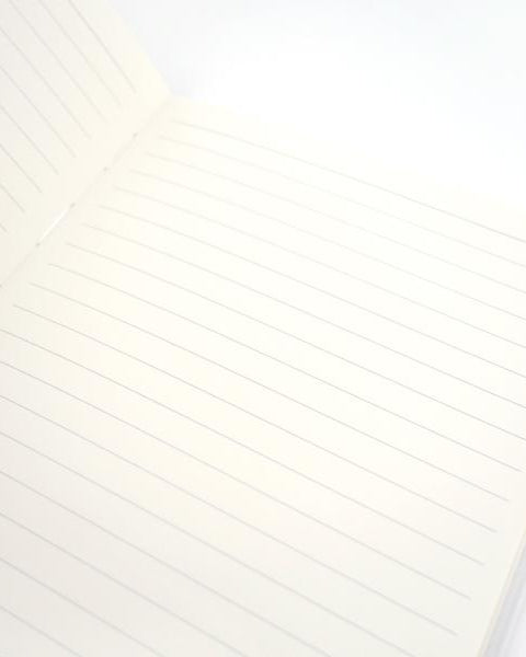 Perseverance A5 Notebook - Notebooks by wheniwasfour | 小时候, Singapore local artist online gift store