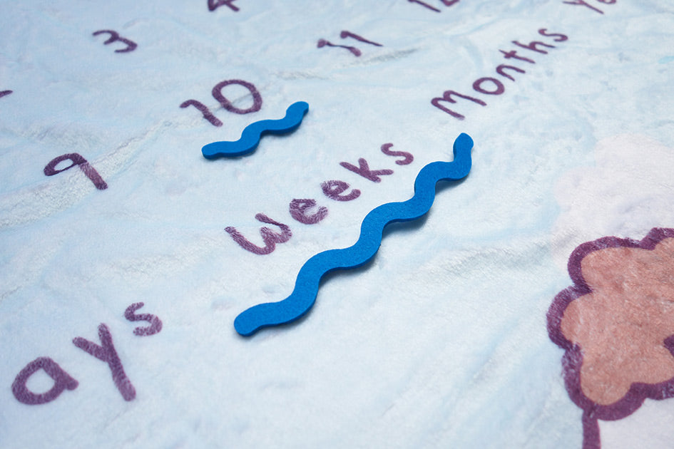 Cute baby photography mat as baby shower gift!