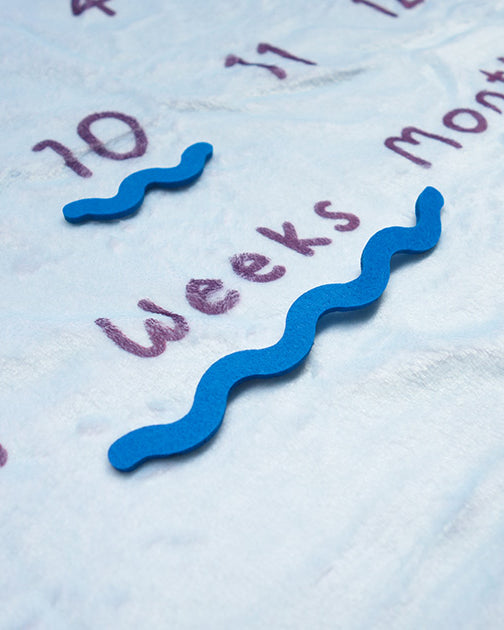 Cute baby photography mat as baby shower gift!