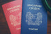 Singapore Citizen Passport A6 Notebook - Notebooks by wheniwasfour | 小时候, Singapore local artist online gift store